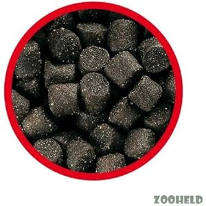 3 kg AL-KO-TE Störfutter 3mm Fischfutter, Stör Spezialfutter