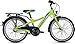 Produktbild Kinder-/Jugendfahrrad Falter FX 203 ND Y-Lite 3G 20' Rh 30 versch. Farben, Farben:grün