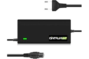 Qintrumiot 42V 3A Cargador Patinete electrico,Cargador Hoverboard, Cargador de Iones de Litio 3A de 36V, con Conector GX12