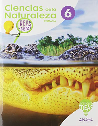 Ciencias de la Naturaleza 6 Ideas de cerca (BRILLIANT IDEAS)