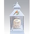 Waterproof Robin Memorial Graveside Lantern with LED Candle (Son)