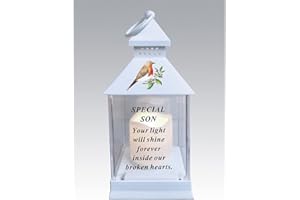 DAVID FISCHHOFF Waterproof Robin Memorial Graveside Lantern with LED Candle (Son)