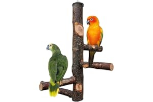 YANJINGHE Legno Naturale Gabbia per Uccelli, Supporto in legno per pappagalli, Giocattolo per Pappagalli, Uccello Persico Pappagallo, per Parrocchetti, Calopsitte, Conuri, Uccelli Innamorati, Fringuelli