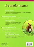 Image de El conejo enano/ The dwarf rabbit