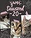 Terminplaner 2020: Monats- und Wochenkalender für Katzenfreunde, Titel mit Fotos von Tigerkätzchen Lotta Zaubermaus by 