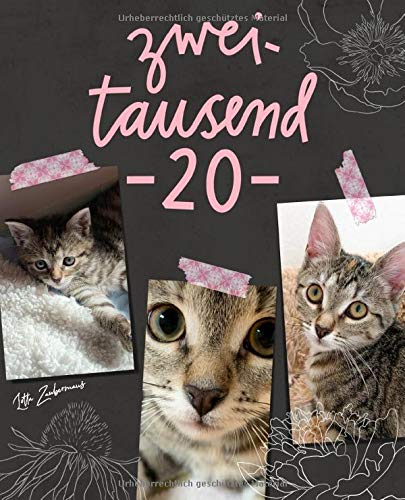 Terminplaner 2020: Monats- und Wochenkalender für Katzenfreunde, Titel mit Fotos von Tigerkätzchen Lotta Zaubermaus