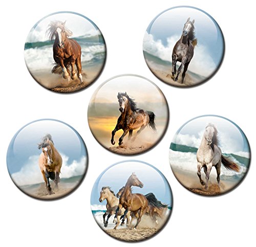 Magnettafel Pferd am Meer – Faszinierende Design Metall Magnettafel 60×40 cm – Pinnwand Memoboard mit Motiv: Pferd am Meer Ocean Horse – inkl. 6 Magnete Pferde am Meer Ocean Horses für Magnetwand – Original Magnetpinnwand GUMA Magneticum - 3