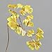Produktbild Artificielles Ginkgo Biloba H-Form, 60 cm, Goldfarben