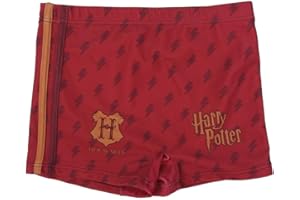 Cerdá - Bañador para Niños de Harry Potter con Licencia Oficial Warner Bros