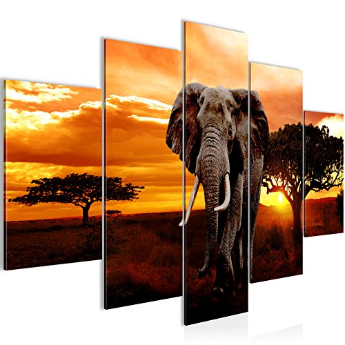 Bilder Afrika Elefant Wandbild 150 x 100 cm Vlies - Leinwand Bild XXL Format Wandbilder Wohnzimmer Wohnung Deko Kunstdrucke Orang Grau 5 Teilig -100% MADE IN GERMANY - Fertig zum Aufhängen 001253a