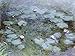 Produktbild Artland Poster Kunstdruck oder Leinwand-Bild Wandbild fertig aufgespannt auf Keilrahmen Claude Monet Nymphéas 1914 17 Botanik Blumen Seerose Malerei Blau