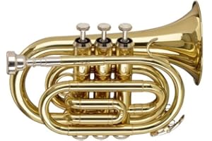 Stagg WS-TR245S Trompette poche SIB + Etui Or