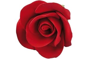 ‎CAKE COMPANY Cake Company Feinzuckerrosen 12 STÜCK rot 1er Pack (1 x 71 g)