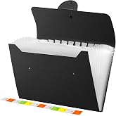 Diboniur A4 File Folder, 13 Pockets Expanding Folder Accordion Document Sorter, Portable A4 File for Office School (Black)