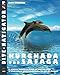 Produktbild Dive-navigator HURGHADA und SAFAGA: Besten 46 Tauchplätze in Hurghada und Safaga. Vollfarb-dreidimensionale Karten und detaillierte Beschreibung sowie die GPS-Positionen.