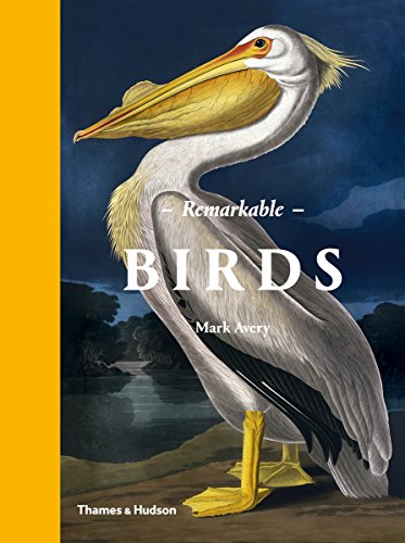 Download Remarkable Birds Download Remarkable Birds