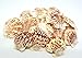 Produktbild DEKOMUSCHEL Echte Pecten Macassarensis 250g Muscheln Schnecken Maritime Deko Tischdeko Aquarium Muscheln - zum Basteln & Dekorieren