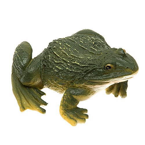 SecretRain Lebensechter Frosch aus Harz Miniatur Miniwelt als Gartendeko oder Geschenk - 3