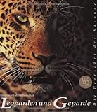 Image de Leoparden und Geparde: Die Herrscher der Savanne