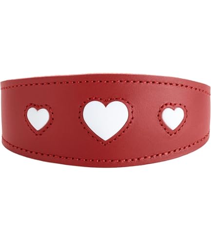 Hunter Halsband Convenience Raspberry - Dierenpension Tussenwijck