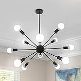 LynPon Lámpara de araña Sputnik Negra Industrial 12 Luces Metal Techo Lampara Colgante Retro para Salon Comedor Dormitorio