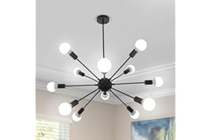 ‎LYNPON LynPon Sputnik Kronleuchter 12 Flammig, Schwarz Pendelleuchte Retro, Lampe Deckenlampe Vintage Deckenleuchte Nordic für Wohnzimmer, Schlafzimmer, Esszimmer Industriell Landhaus…