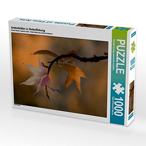 Preisvergleich Produktbild Amberblätter in Herbstfärbung 1000 Teile Puzzle quer (CALVENDO Natur)
