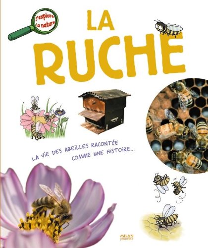 La  ruche