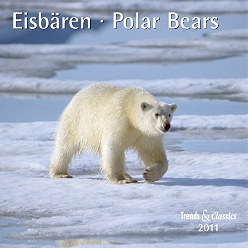 Eisbären - T & C-Kalender 2011