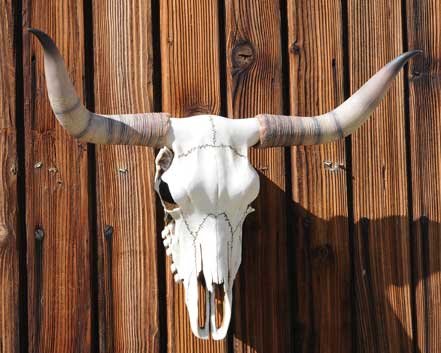 Bullenschädel Bullen Longhorn Schädel Skull Wicca Türbogen Metal LARP - 2