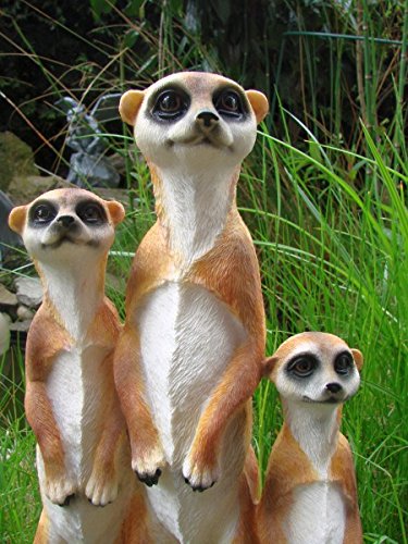 Erdmännchen Familie Figur Gartenfigur Tierfigur Garten Tier Polyresin Gruppe Eddy Aufstellfigur - 4