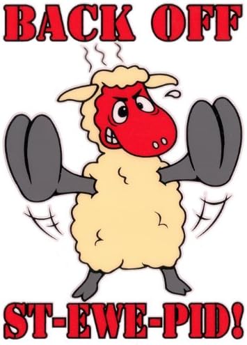 Back Off St-ewe-pid! - Funny Sheep Car Sticker SH21