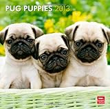 Pug Puppies 2013 - Mopswelpen - Original BrownTrout-Kalender by