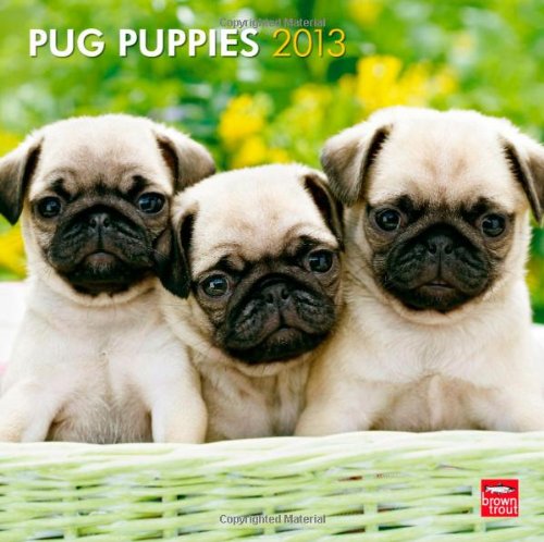 Pug Puppies 2013 - Mopswelpen - Original BrownTrout-Kalender