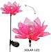 Produktbild Solar Leuchte - " Blume & Blüte - PINK " - Solarblume mit LED Licht - Garten Wetterfest für Außen - Figur & Gartendeko Solarleuchte Solarbetrieben - Laterne Gartenleuchte Außenbeleuchtung - Solarleuchten Dekofigur / photovoltaik - Lampe / Gartendeko - Seerose