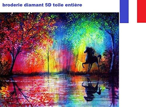 5D Diamond Embroidery Kit French Seller Horse Rainbow Black Size: 54 x 40 cm