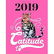 Suchergebnis Auf Amazonde Für Catitude Für Katzen - 