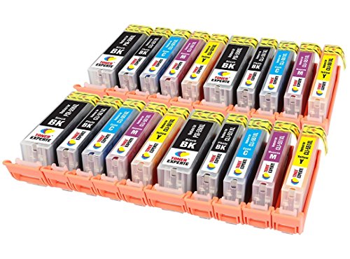 Pack 20 XL TONER EXPERTE   Compatibles PGI-550XL   CLI-551XL Cartouches d encre pour Canon Pixma iP7150  MG5450  MG5550  MG5650  MG6350  MG6450  MG6650  MG7150  MG7550  MX725  MX925  iP7250  iP8750  iX6850