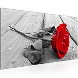 UMWELTBEWUSST: ökologisches Druckverfahren, geeignet für Kinder- und Schlafzimmer