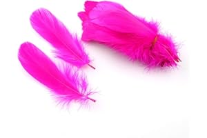 Sowder Piume D'Oca Naturali, Accessori per Abbigliamento, Confezione da 100