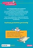 Image de LESEMAUS zum Lesenlernen Sammelbände: Neue Tiergeschichten zum Lesenlernen: Bild-Wörter-