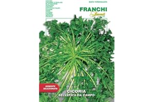 Semi Cicoria Selvatica da Campo Franchi Sementi 10g