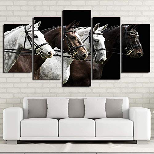 ZLQF Decoración De Arte De Pared Imprime En Lienzo 5 Piezas De Caballo Blanco y Negro Animal Paintings HD Imprimir Caballos Antiguos Poster Pictures,B,20 * 35 * 2+20 * 45 * 2+20 * 55 * 1