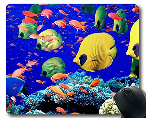 Preisvergleich Produktbild Mauspad-Gewohnheit, Koi-Fischthema der einzigartigen Gaming-Mauspads