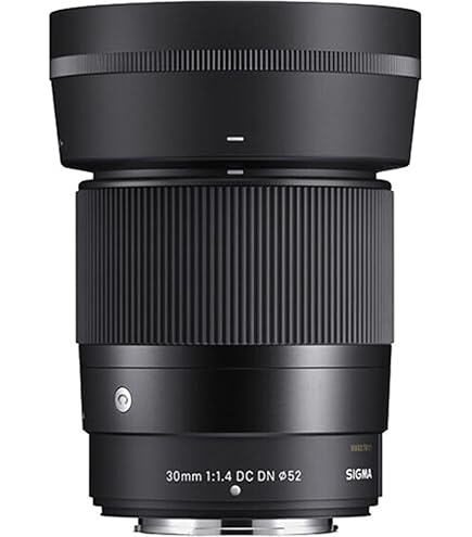 Sigma 30Mm F/1.4 Ex Dc HSM Art Lens for Nikon,Black : Sigma
