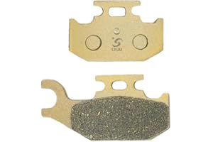 S SYUU Motocicleta Fibra de cobre trasero Pastillas de freno Compatible con Yamaha Raptor 700 YFM 700 R 2006 2007 2008 2009 2010 2011 2012 FA428R