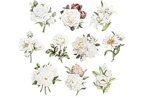 ‎IDEEN MIT HERZ Ideen mit Herz 3-D Motive, ausgestanzt, ca. 7-10 cm, 10 Stück im Beutel | Bilder zum Basteln & Dekorieren | Grußkarten selber machen | Bildmotive für Scrapbooking & DIY-Deko (Blumen in Weiß)