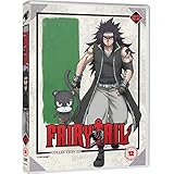 Fairy Tail: Part 22 [DVD]