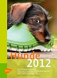 Hunde 2012 by 