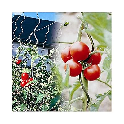 Générique Tuteur à Tomate avec chas - Lot de 15 170 cm Gris 170 cm